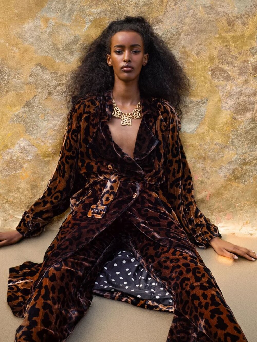 ALIX of BOHEMIA Jasper Leopard Velvet Coat